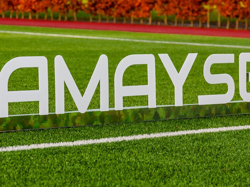 BackAd_correx-24_free