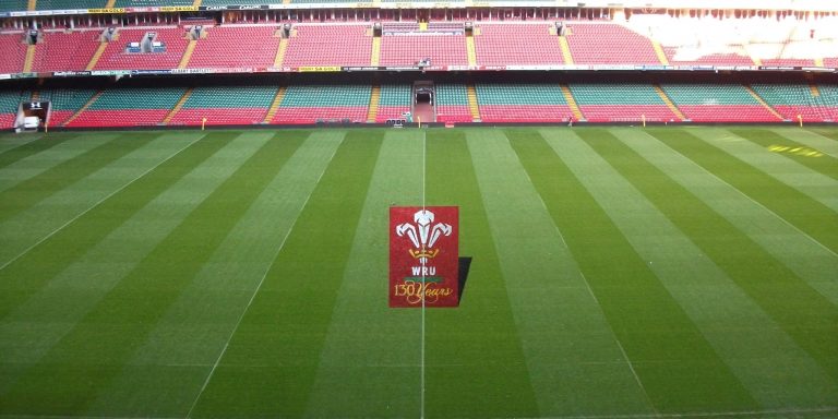 3D Painted Logos WRU 130 Years Centre Pitch