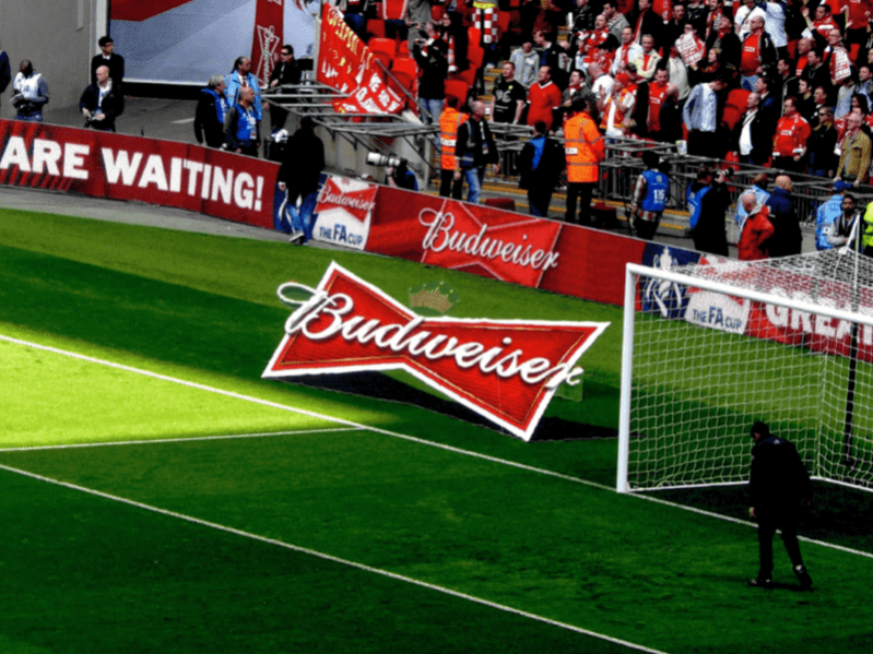 3D CamCarpets Budweiser Wembley