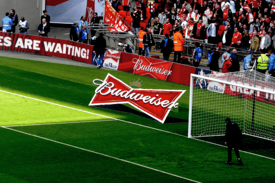 3D CamCarpets Budweiser Wembley 3D CamCarpets Budweiser Wembley