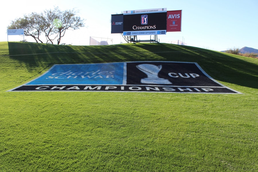 3D Painted Logos Charles Schwab Cup