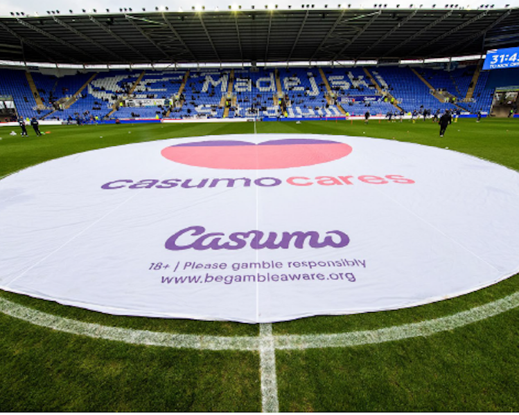 Centre Circle Pitch Banner Casumo